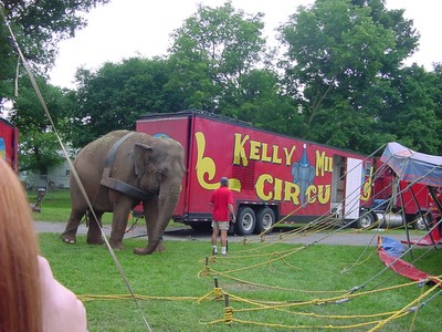 Viola and circus wagon