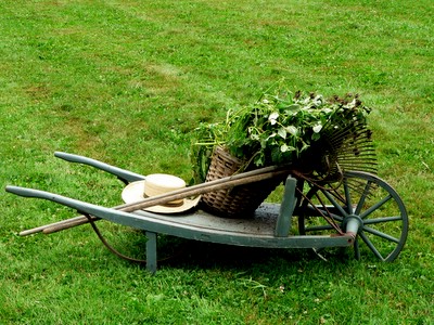 still life with wheelbarrow
