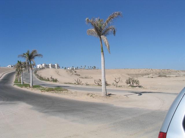 Dunes inland from Princessa