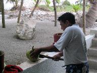 Gardener preparing a coconut