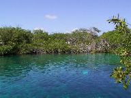 Manatee Cenote