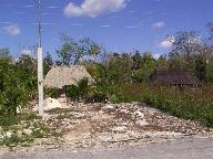 A typical Mayan's home