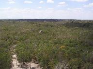 View from Nohoch Mul, another Coba pyramid near the center