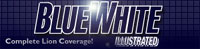 BlueWhite Illustrated