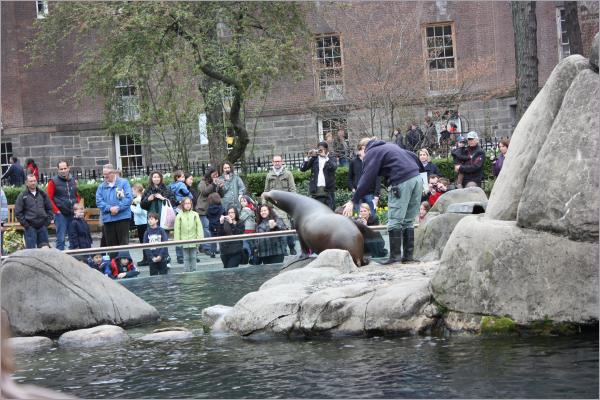 Central Park Zoo