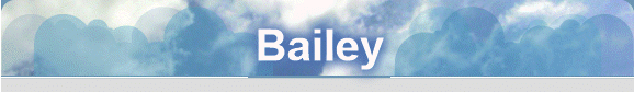 Bailey