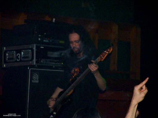 Bassist, Johan Niemann