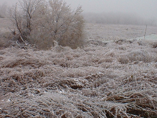 Ice Storm