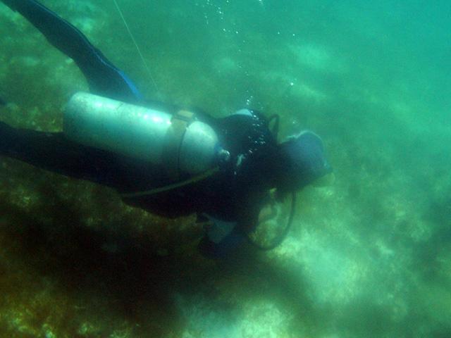 Scuba diver below while snorkeling