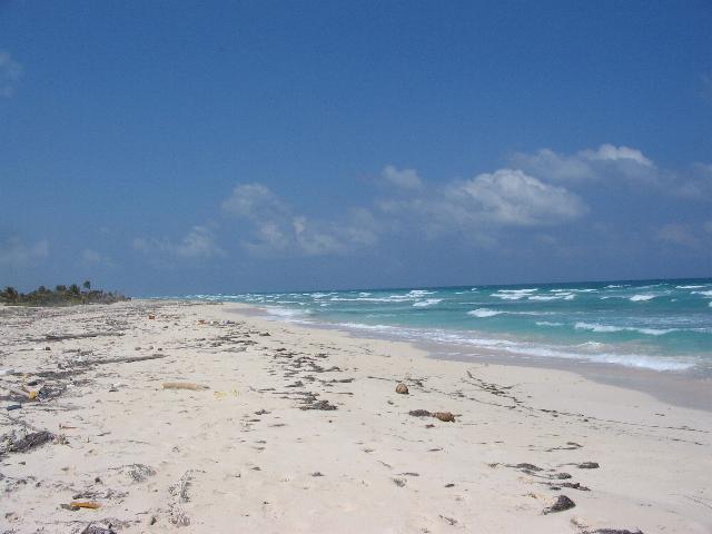 Wild Boca Paila beach