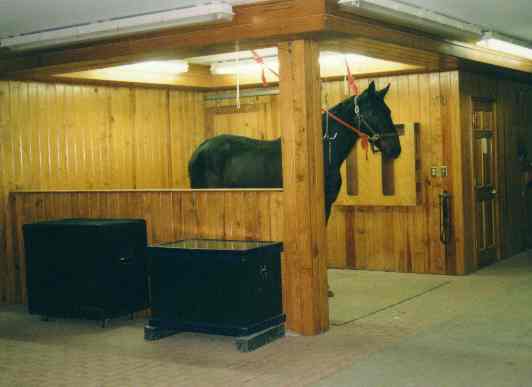 Interior Grooming Stall