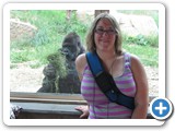 Angie and her monkeys - this one a gorilla