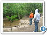 One of two pools by the creek for dogs and people to play in