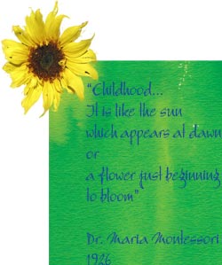 Childhood it is like the sun which appears at dawn or a flower just beginning to bloom - Dr. Maria Montessori