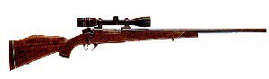 Rifle