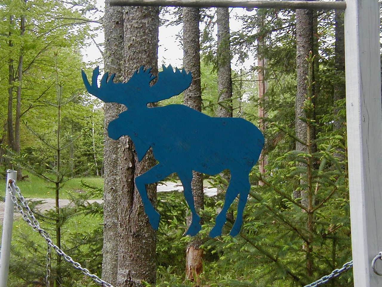 Blue Moose vacation cottage